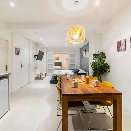 Loft Moderne Face Jardin Des Plantes - 4p *