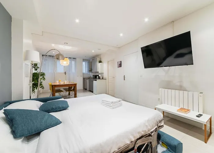 Loft Moderne Face Jardin Des Plantes - 4p