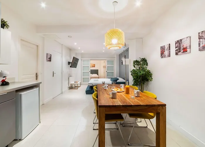 Loft Moderne Face Jardin Des Plantes - 4p *